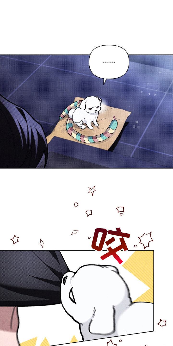 小白狗奇遇记韩漫免费观看全集漫画,第18话2图