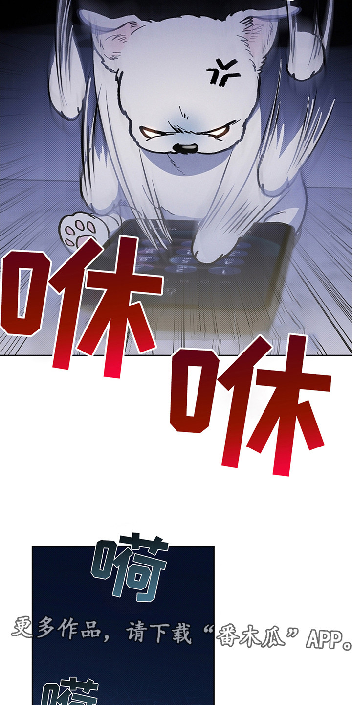 小白狗奇遇记韩漫免费观看全集漫画,第12话1图