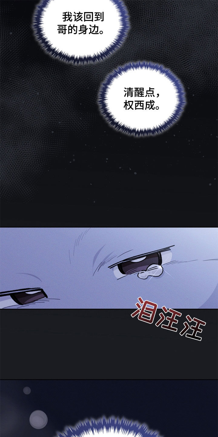 小白狗奇遇记韩漫免费观看全集漫画,第35话2图