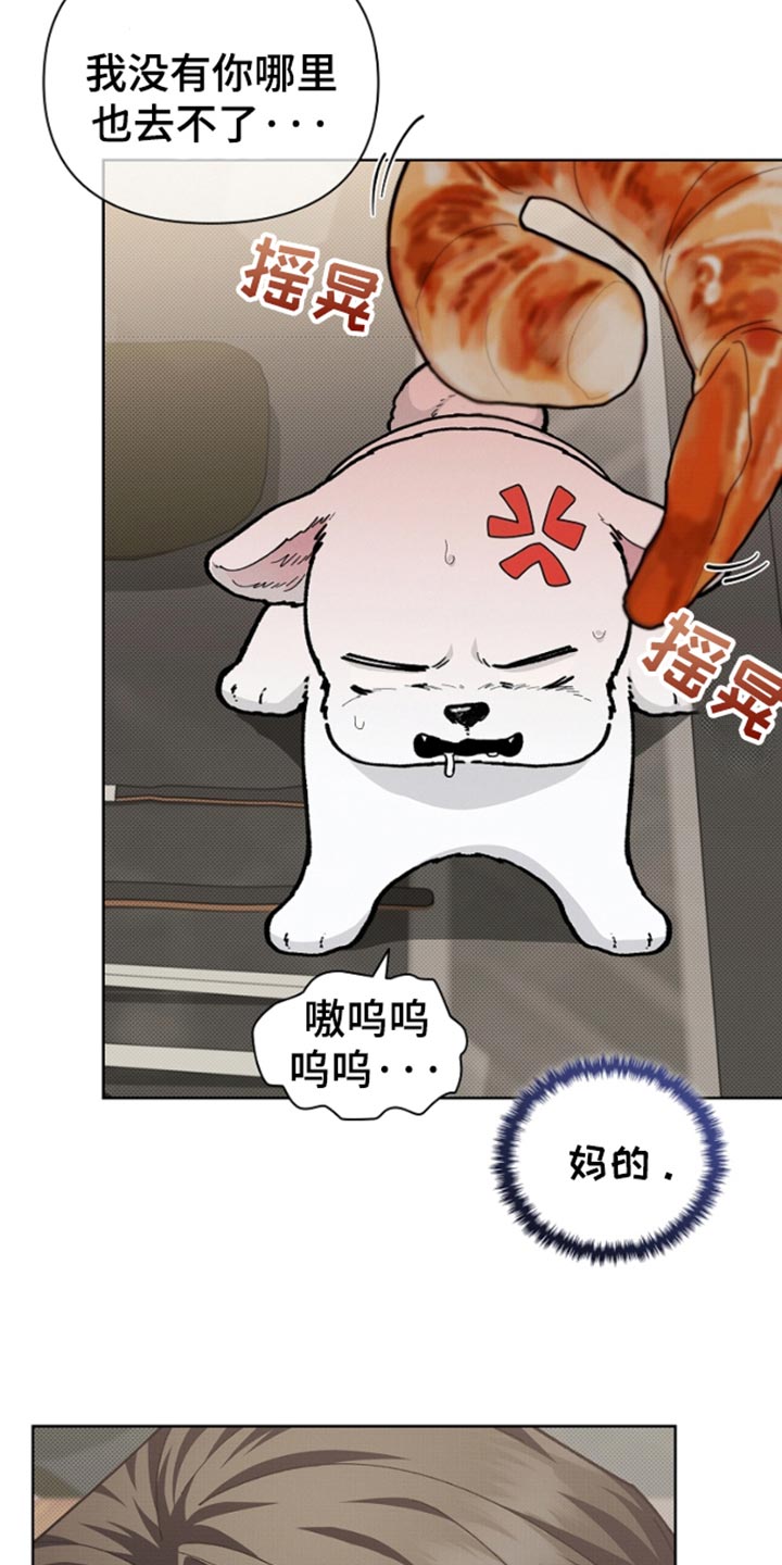 小白狗奇遇记韩漫免费观看全集漫画,第28话2图