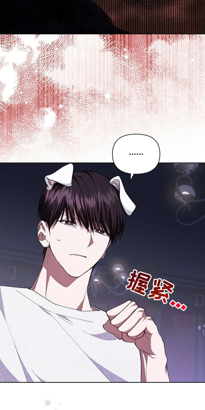 小白狗奇遇记韩漫免费观看全集漫画,第3话2图