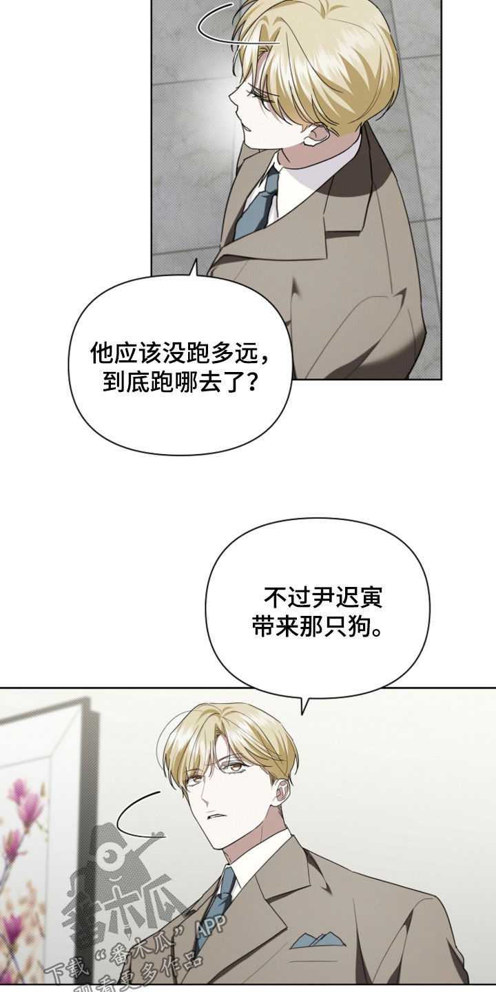 小白狗奇遇记韩漫免费观看全集漫画,第52话1图
