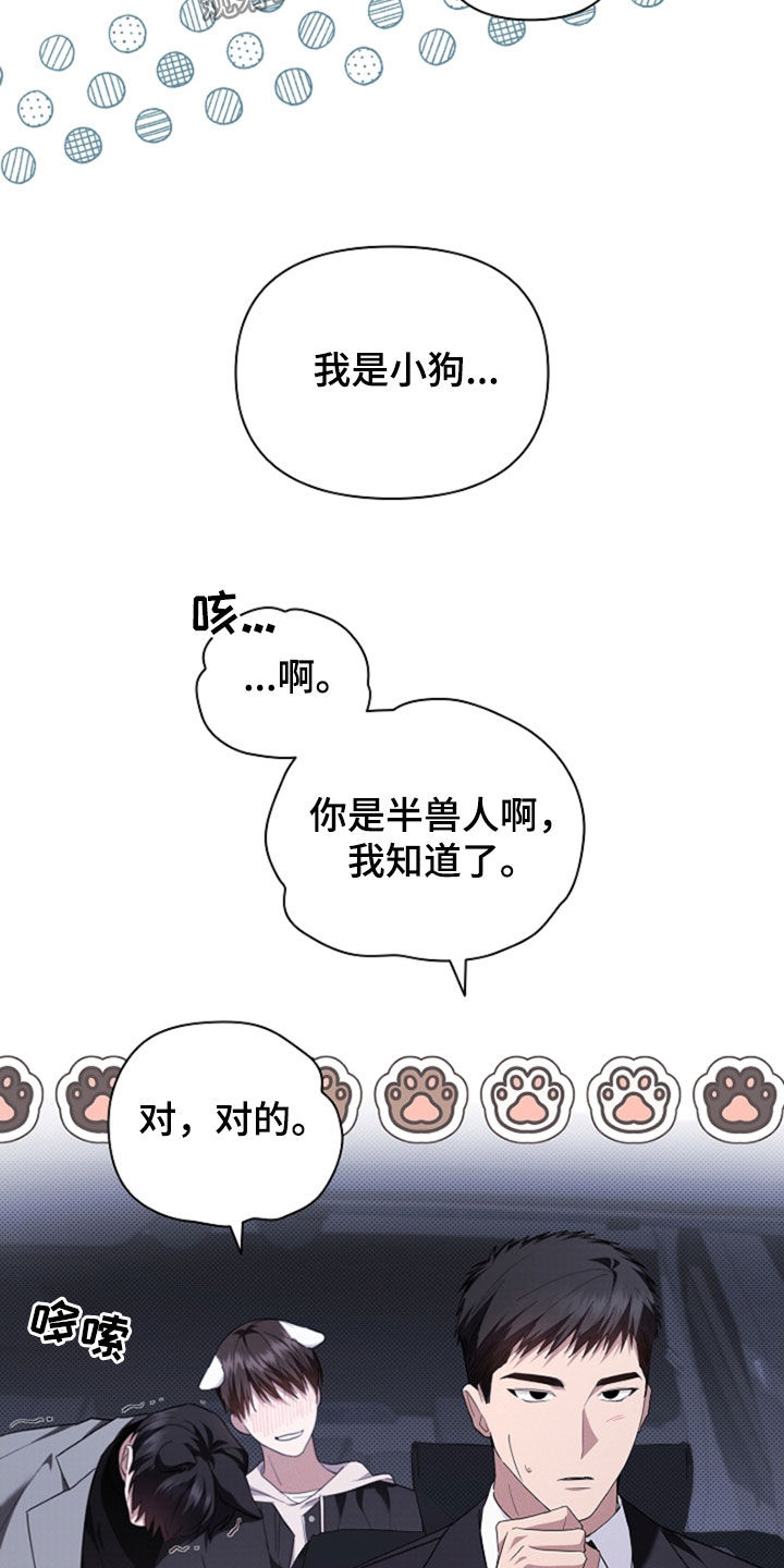 小白狗奇遇记韩漫免费观看全集漫画,第48话2图