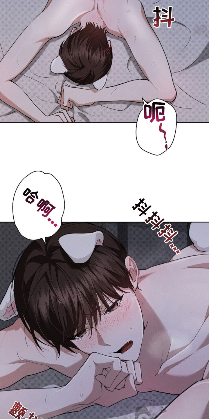 小白狗奇遇记韩漫免费观看全集漫画,第60话2图