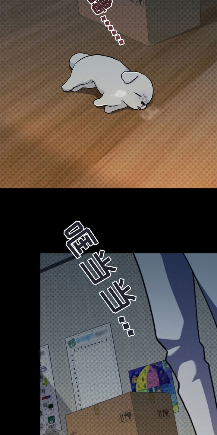 小白狗奇遇记韩漫免费观看全集漫画,第41话1图