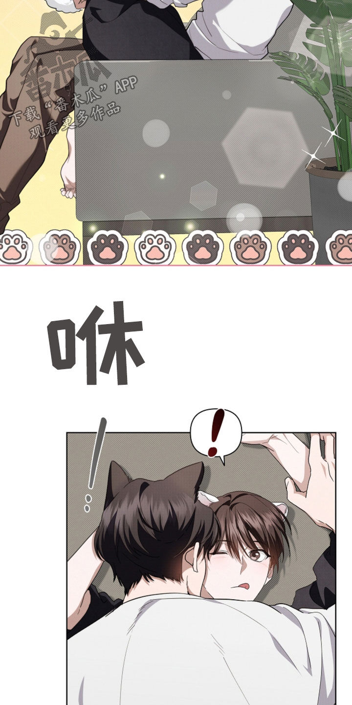 小白狗奇遇记韩漫免费观看全集漫画,第54话1图