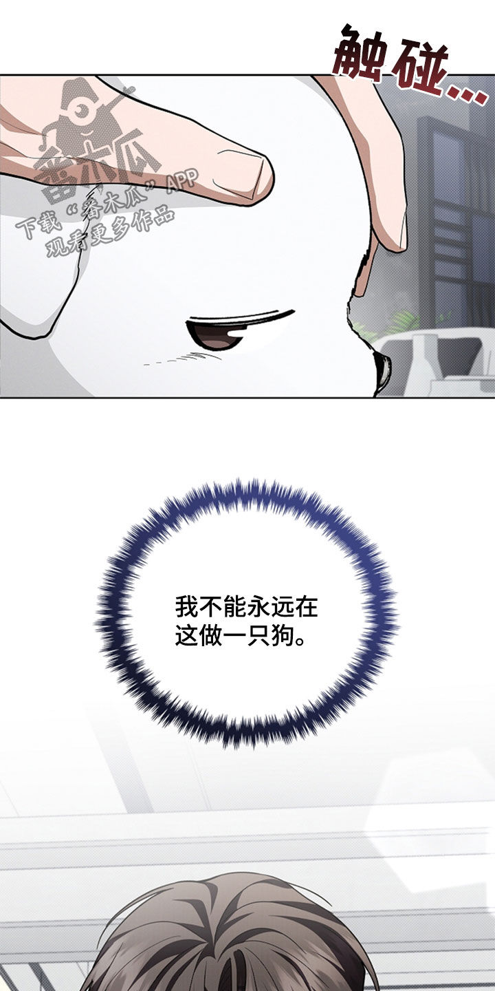 小白狗奇遇记韩漫免费观看全集漫画,第36话2图