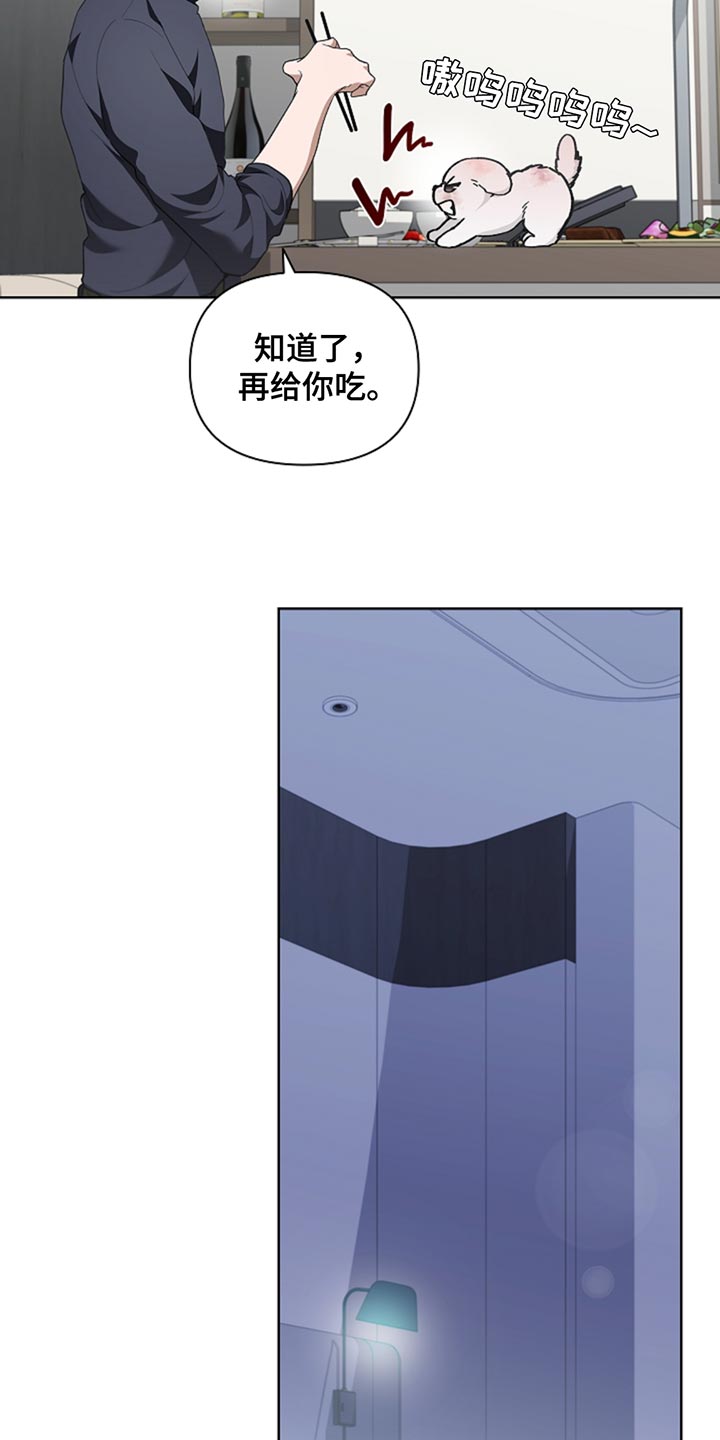 小白狗奇遇记韩漫免费观看全集漫画,第34话1图