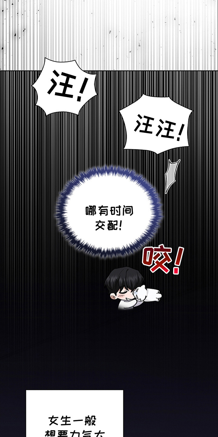 小白狗奇遇记韩漫免费观看全集漫画,第24话1图