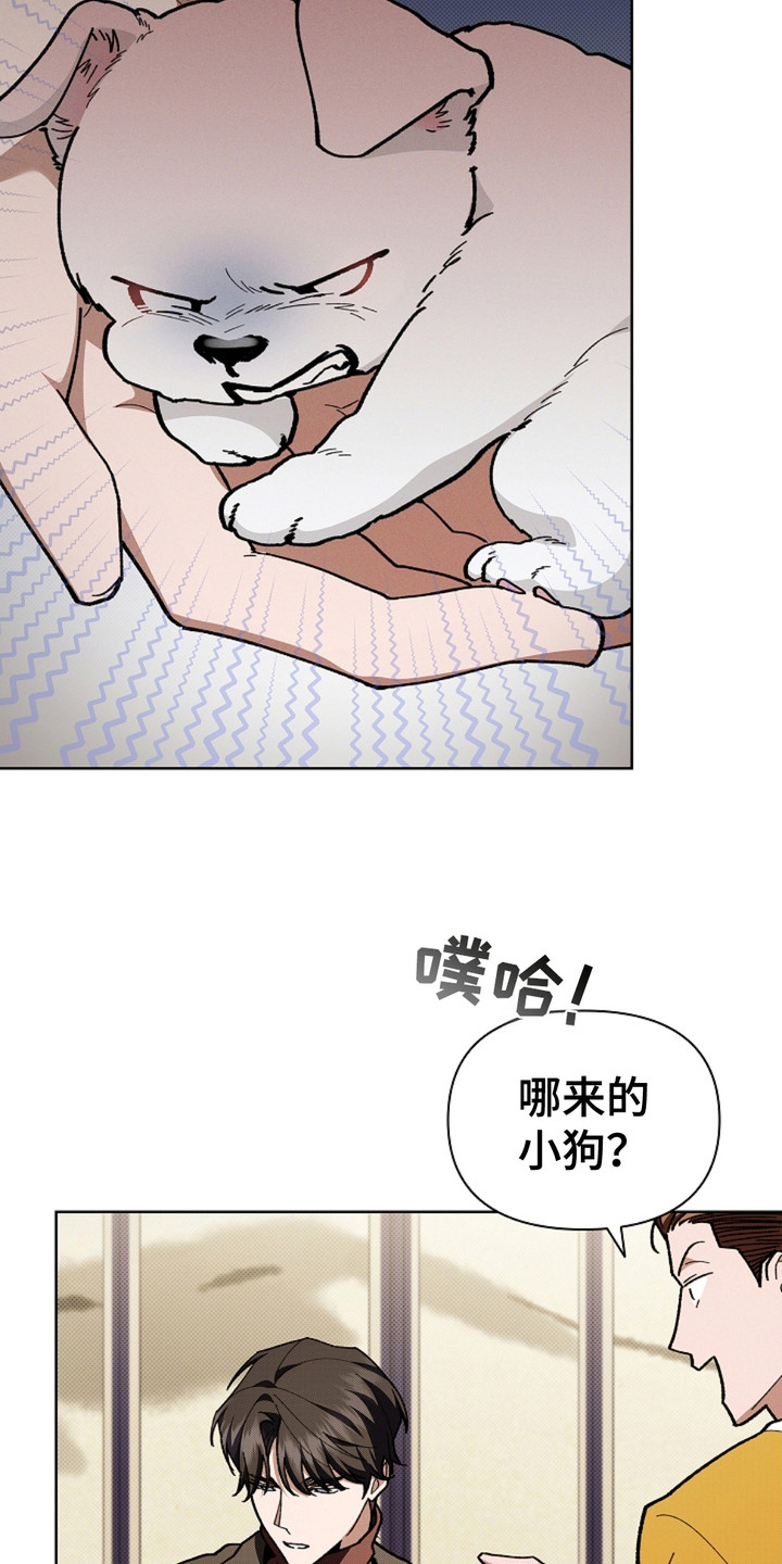 小白狗奇遇记韩漫免费观看全集漫画,第16话1图