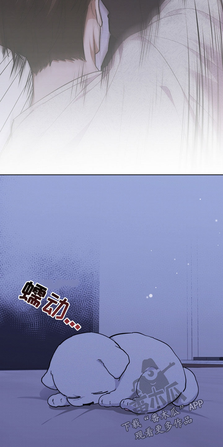 小白狗奇遇记韩漫免费观看全集漫画,第35话2图
