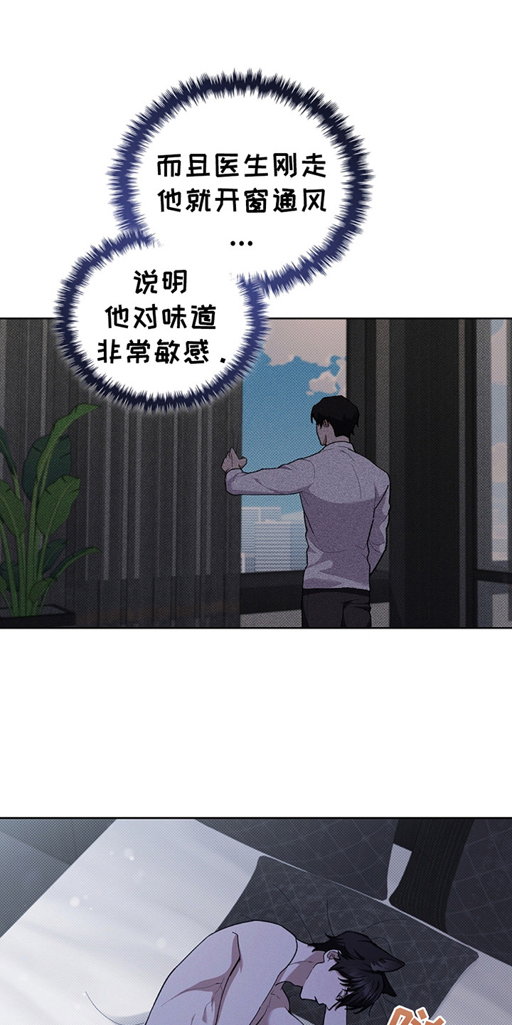 小白狗奇遇记韩漫免费观看全集漫画,第21话1图