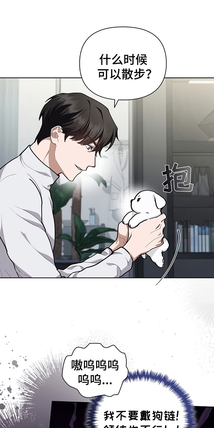 小白狗奇遇记韩漫免费观看全集漫画,第20话2图
