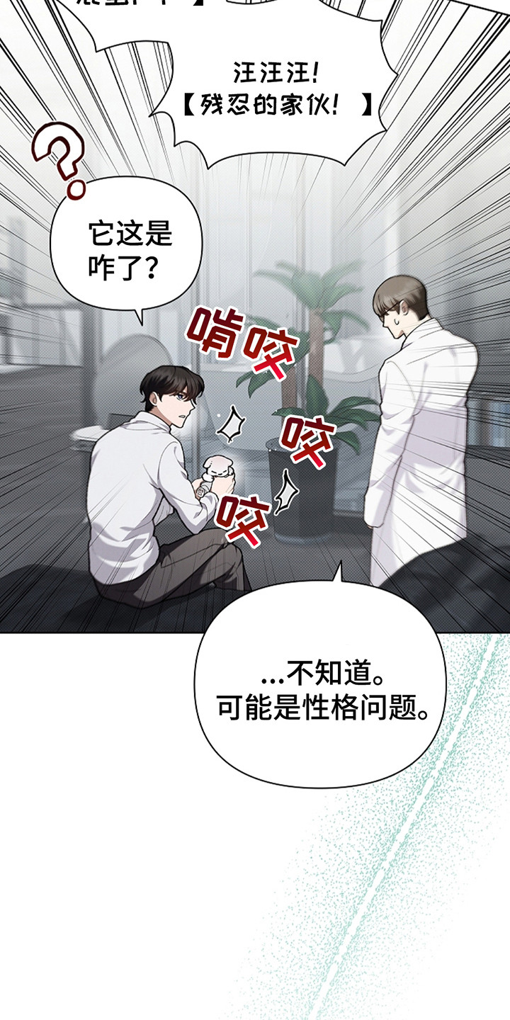 小白狗奇遇记韩漫免费观看全集漫画,第21话2图