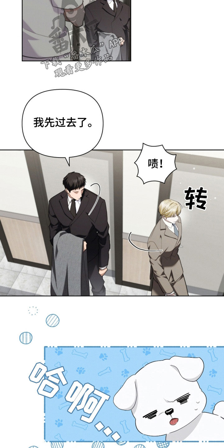 小白狗奇遇记韩漫免费观看全集漫画,第52话1图