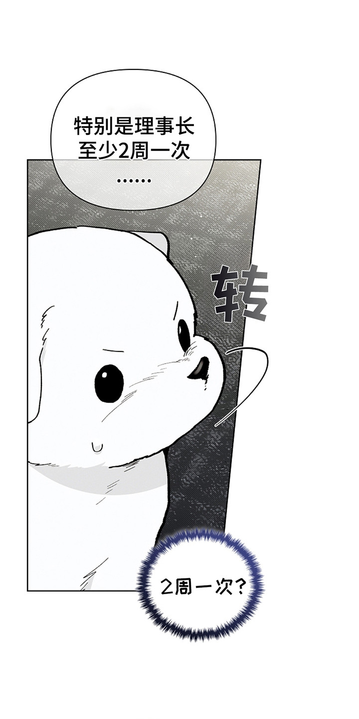 小白狗奇遇记韩漫免费观看全集漫画,第21话1图