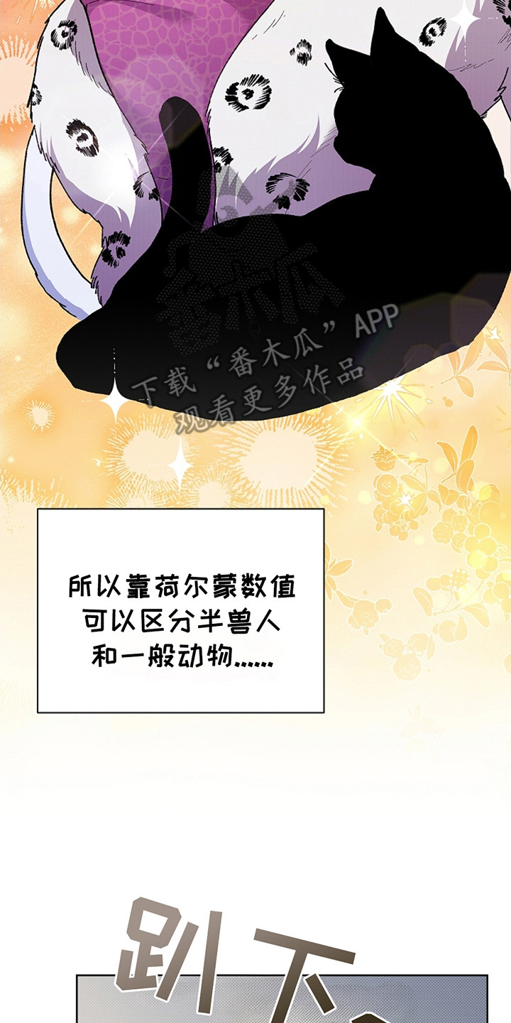 小白狗奇遇记韩漫免费观看全集漫画,第11话2图