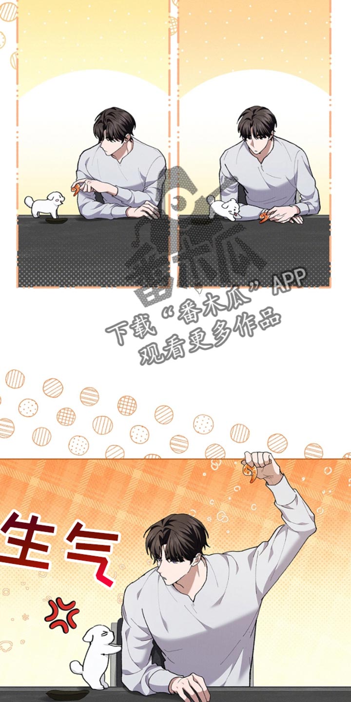 小白狗奇遇记韩漫免费观看全集漫画,第28话2图