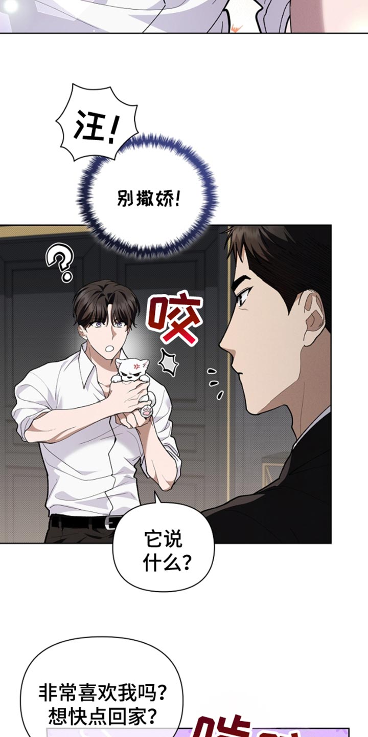 小白狗奇遇记韩漫免费观看全集漫画,第27话2图