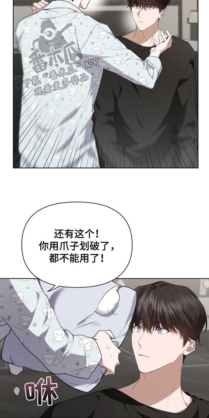 小白狗奇遇记韩漫免费观看全集漫画,第48话1图