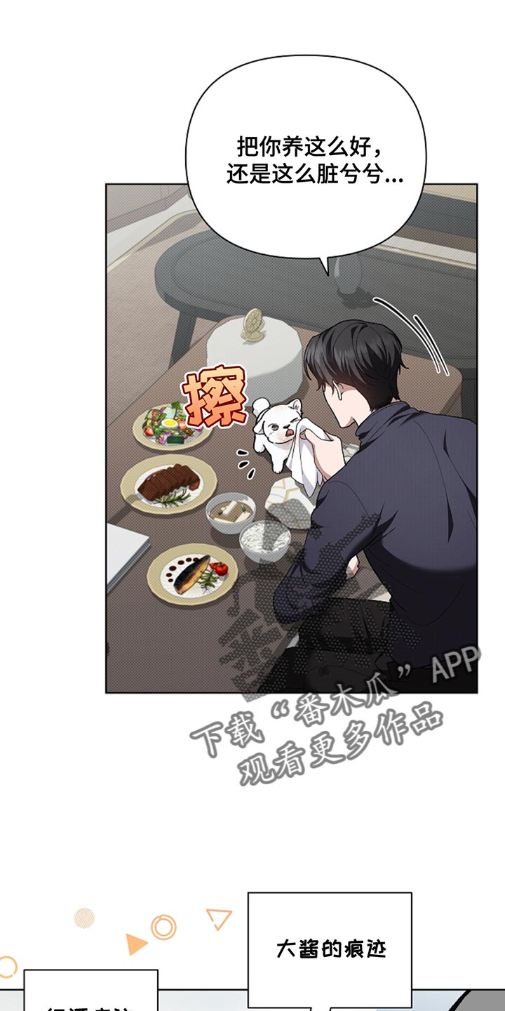 小白狗奇遇记韩漫免费观看全集漫画,第34话1图