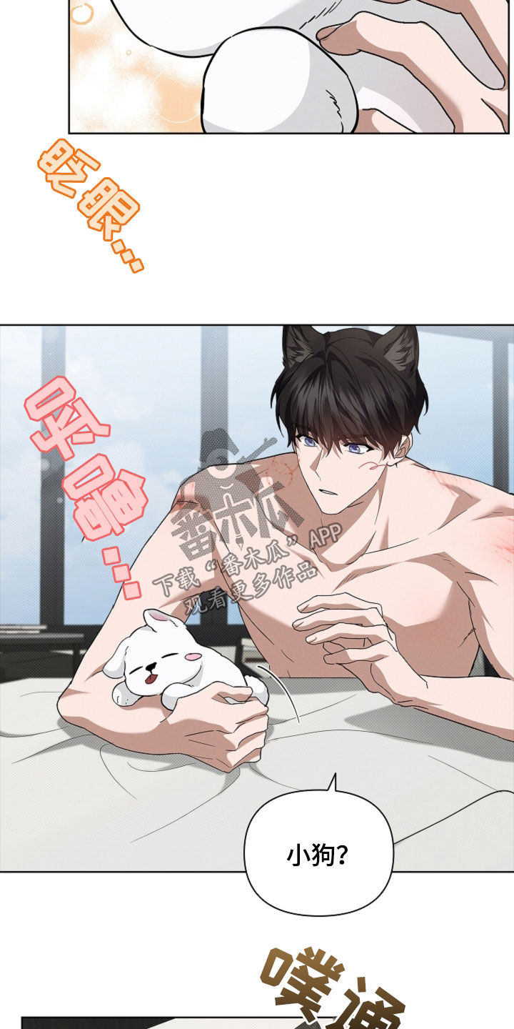 小白狗奇遇记韩漫免费观看全集漫画,第62话2图