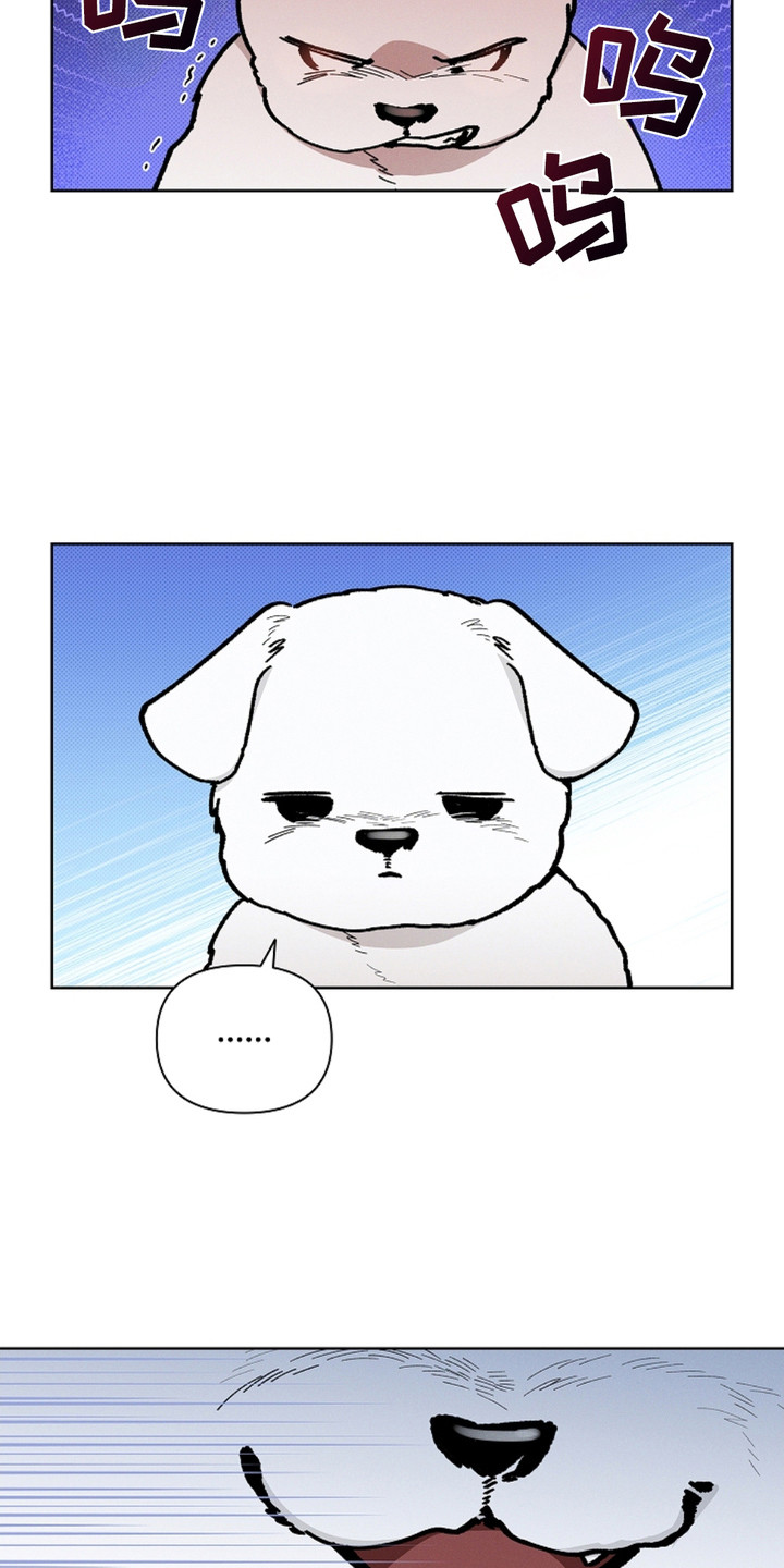 小白狗奇遇记韩漫免费观看全集漫画,第15话1图