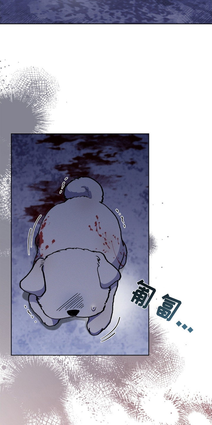 小白狗奇遇记韩漫免费观看全集漫画,第9话2图