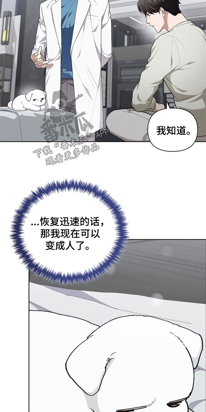 小白狗奇遇记韩漫免费观看全集漫画,第36话2图