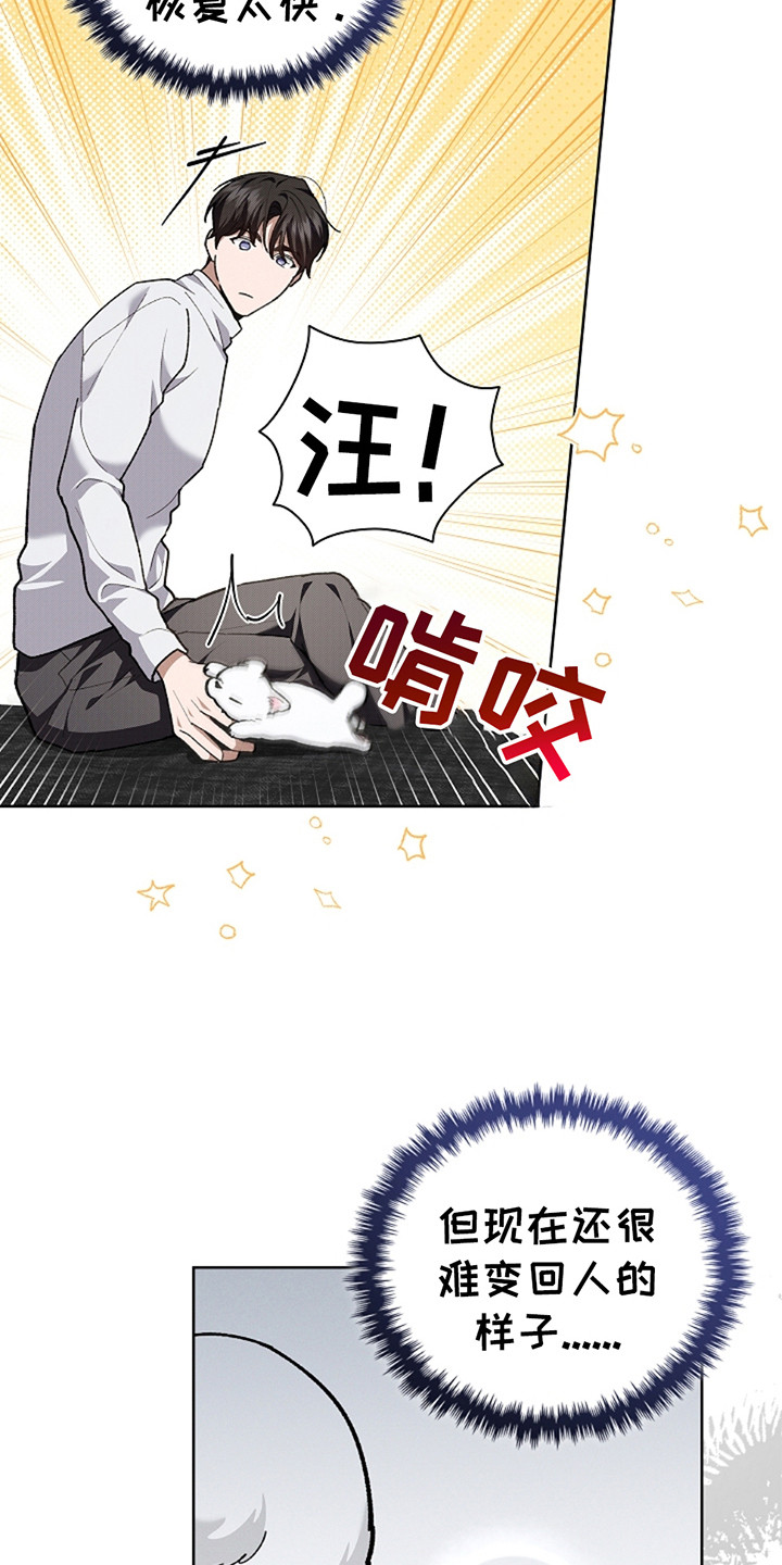 小白狗奇遇记韩漫免费观看全集漫画,第20话2图