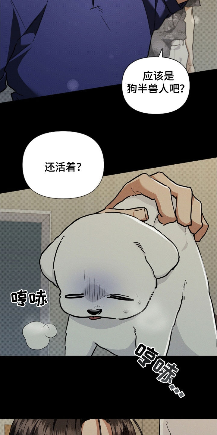 小白狗奇遇记韩漫免费观看全集漫画,第41话1图