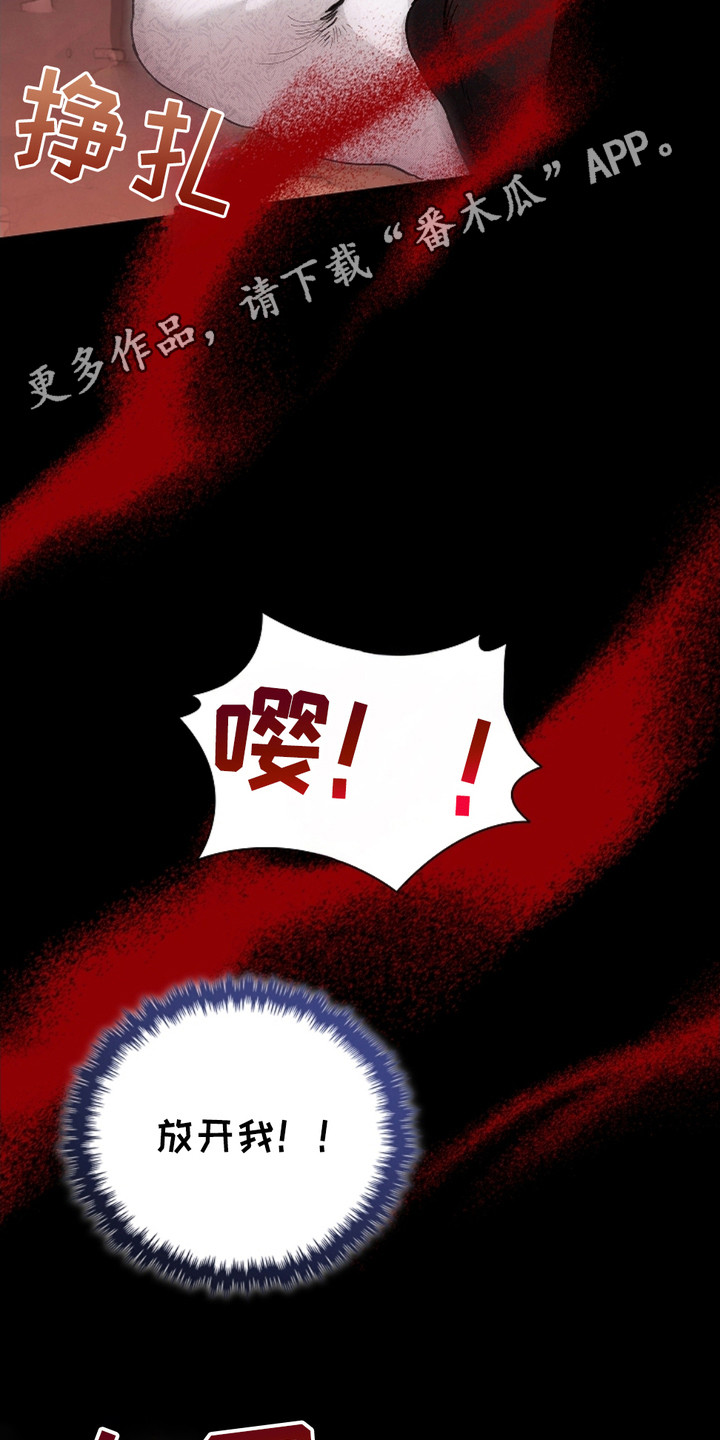 小白狗奇遇记韩漫免费观看全集漫画,第1话1图