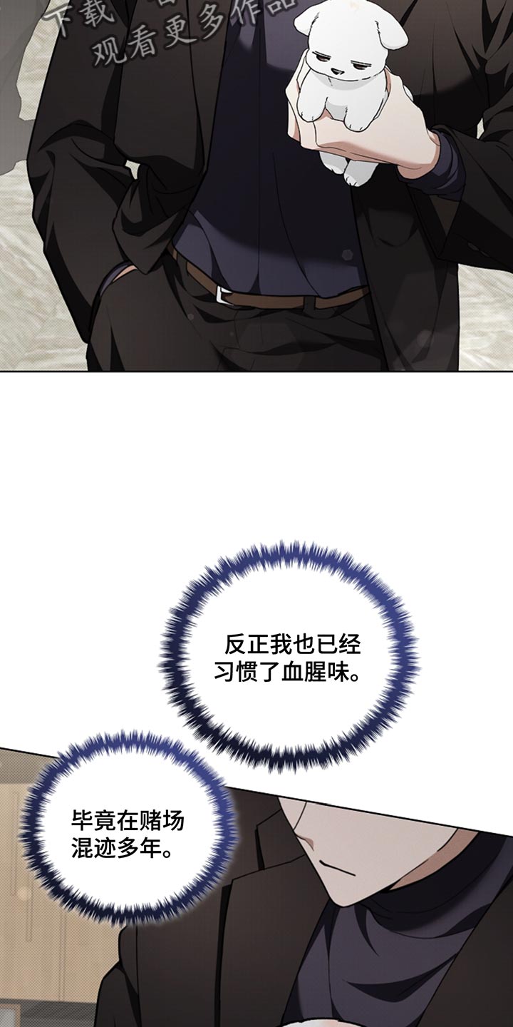 小白狗奇遇记韩漫免费观看全集漫画,第33话2图