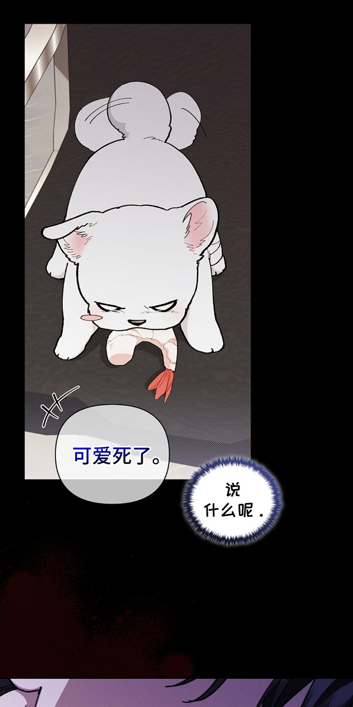 小白狗奇遇记韩漫免费观看全集漫画,第21话2图
