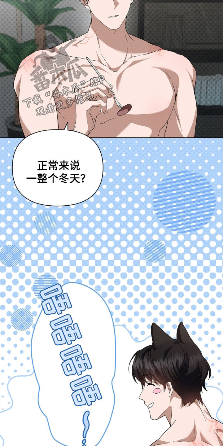 小白狗奇遇记韩漫免费观看全集漫画,第62话2图
