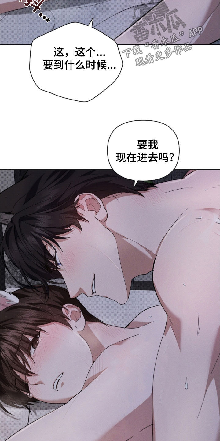 小白狗奇遇记韩漫免费观看全集漫画,第60话1图