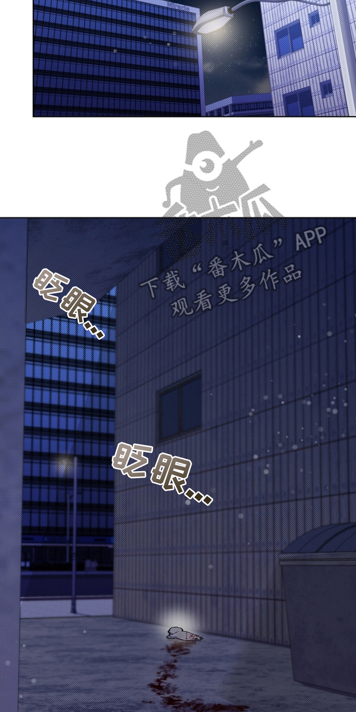 小白狗奇遇记韩漫免费观看全集漫画,第9话2图
