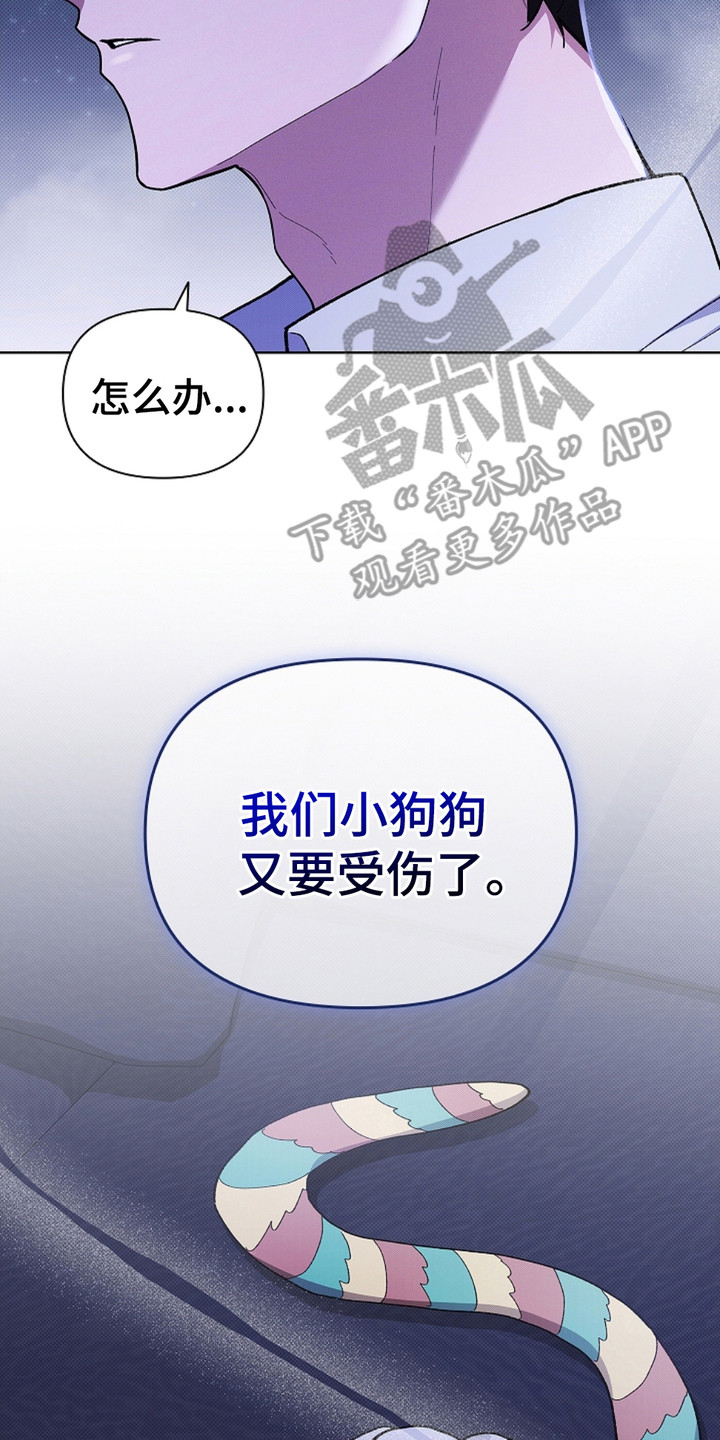 小白狗奇遇记韩漫免费观看全集漫画,第19话2图
