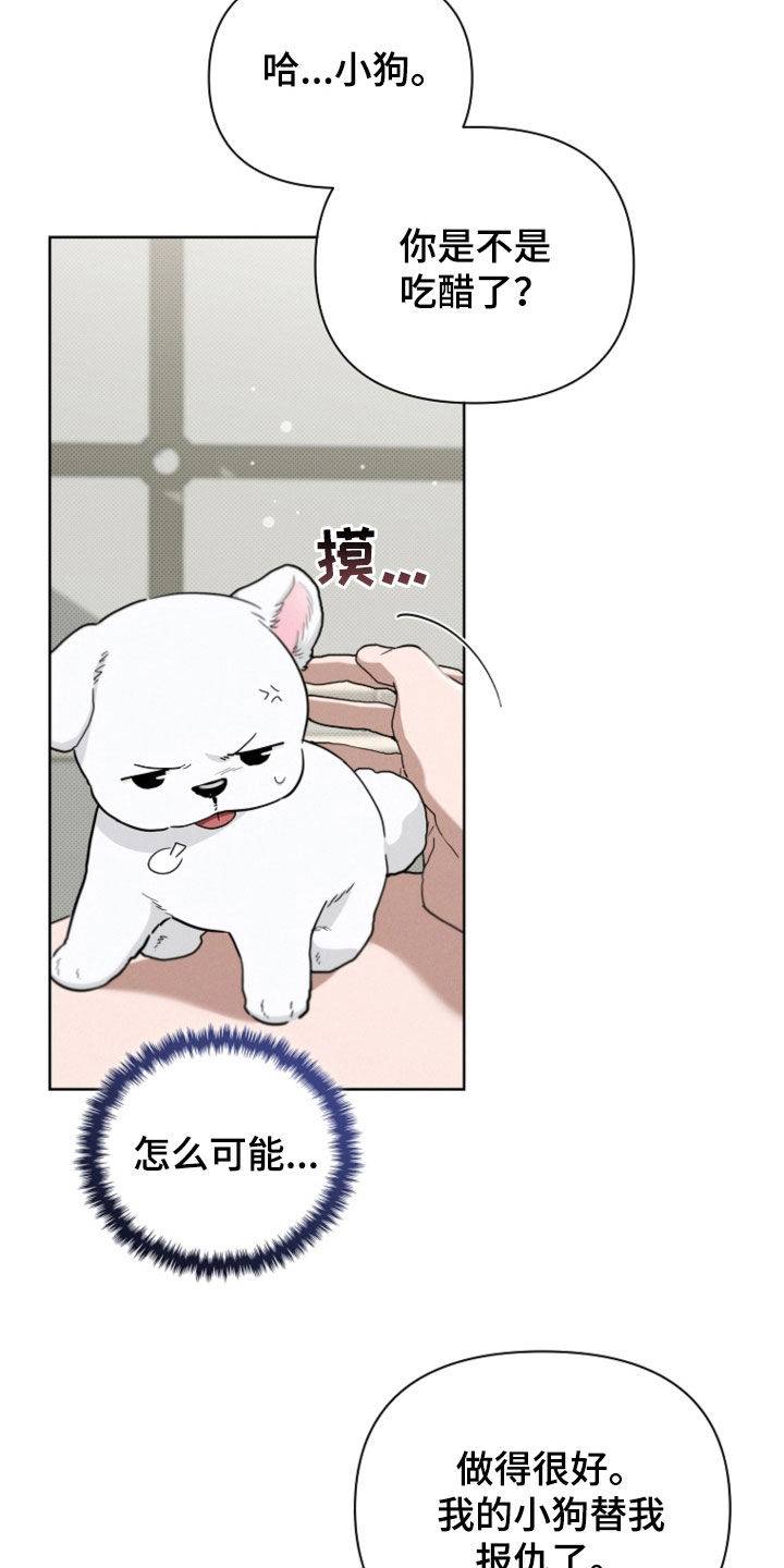 小白狗奇遇记韩漫免费观看全集漫画,第52话2图