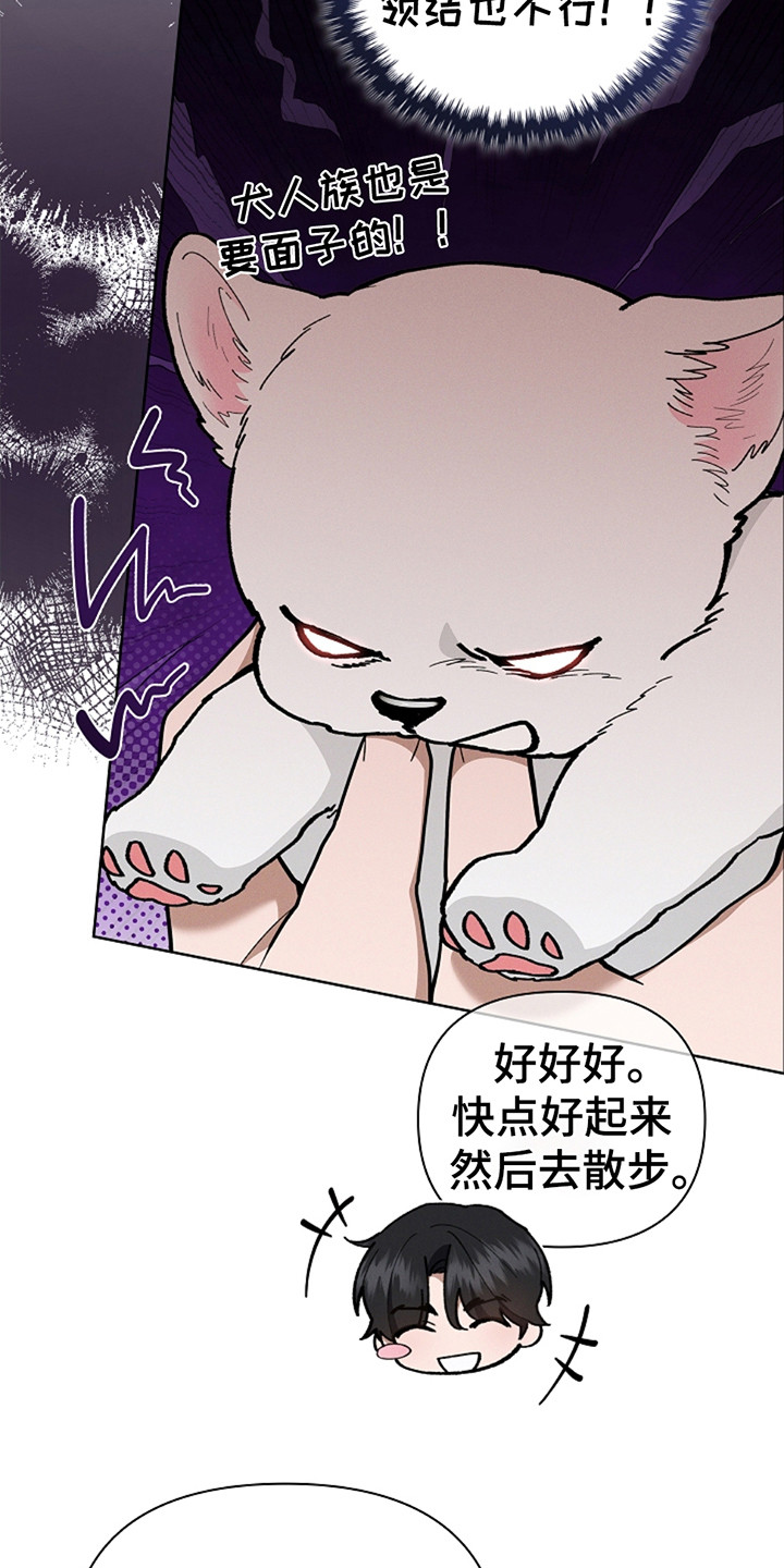 小白狗奇遇记韩漫免费观看全集漫画,第20话1图