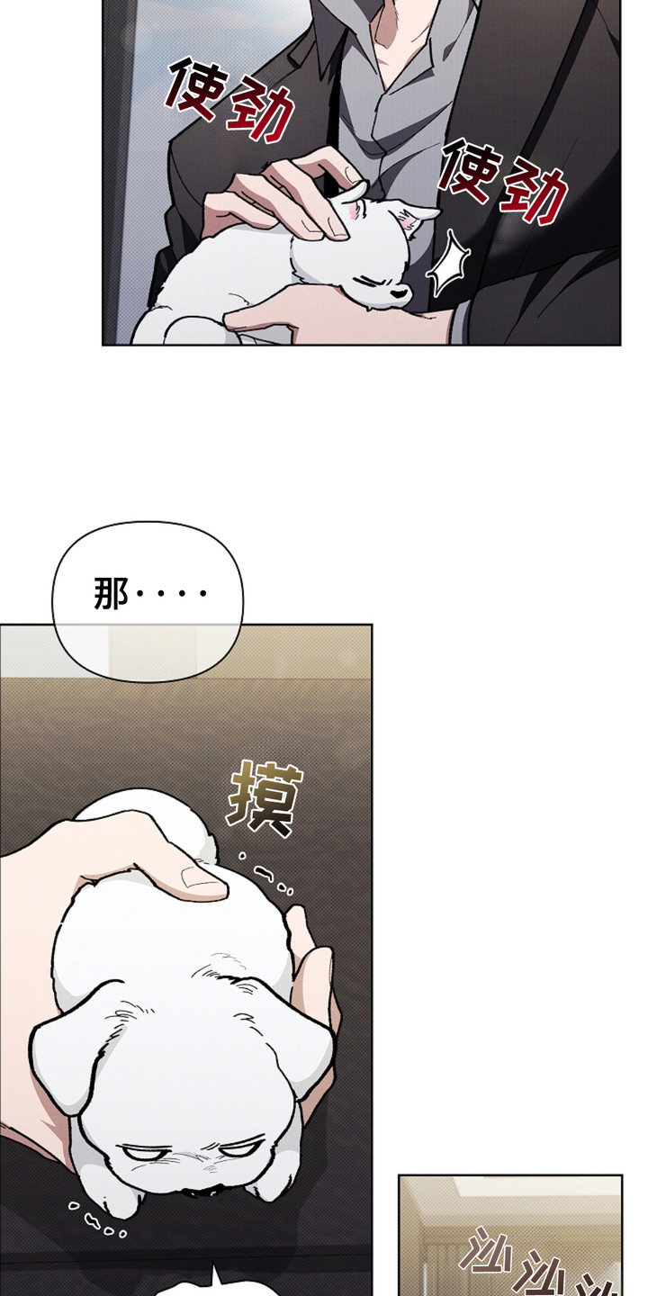 小白狗奇遇记韩漫免费观看全集漫画,第15话2图