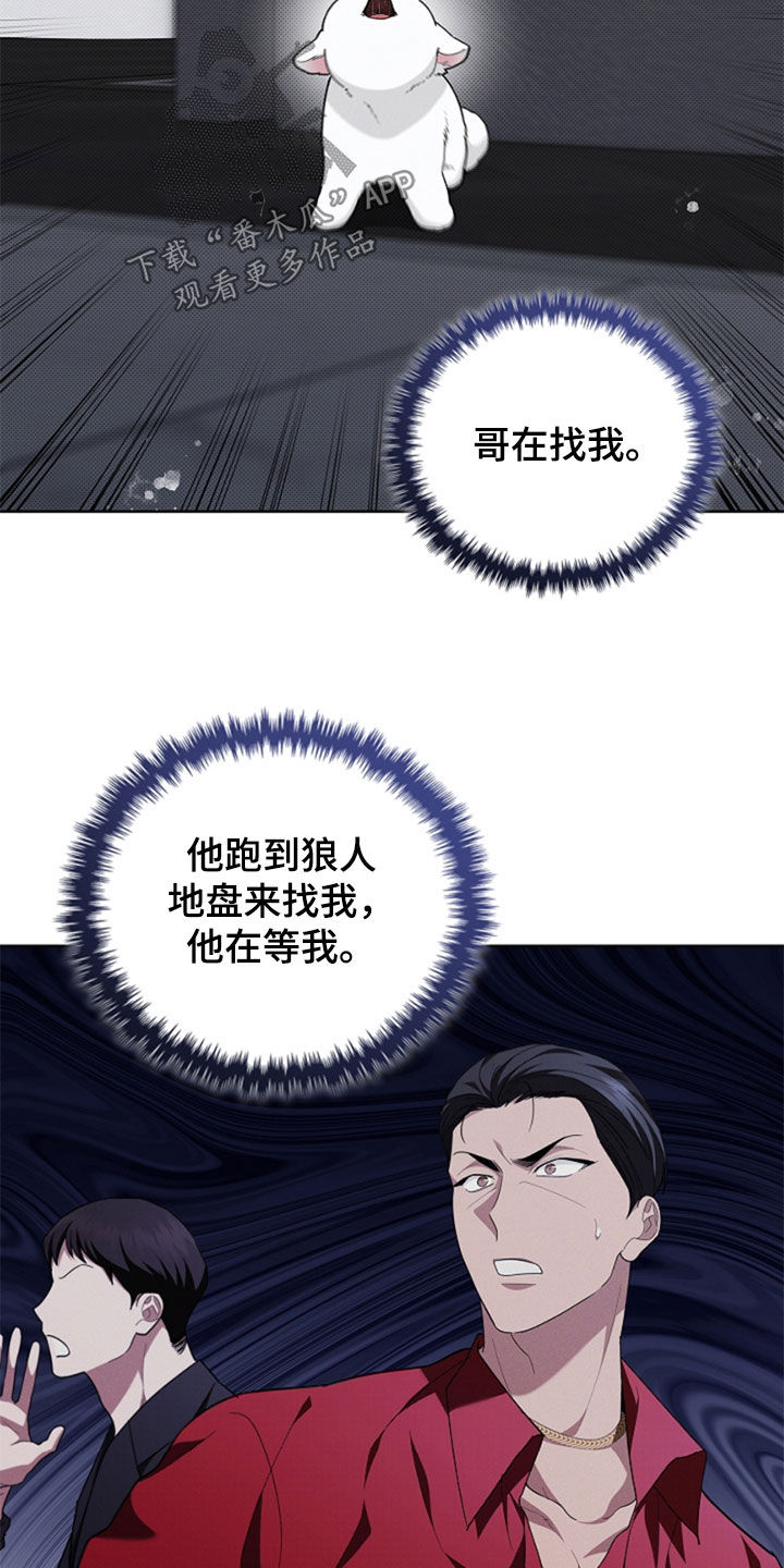 小白狗奇遇记韩漫免费观看全集漫画,第36话1图