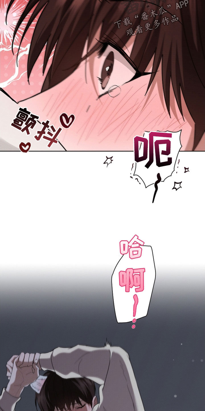 小白狗奇遇记韩漫免费观看全集漫画,第60话1图