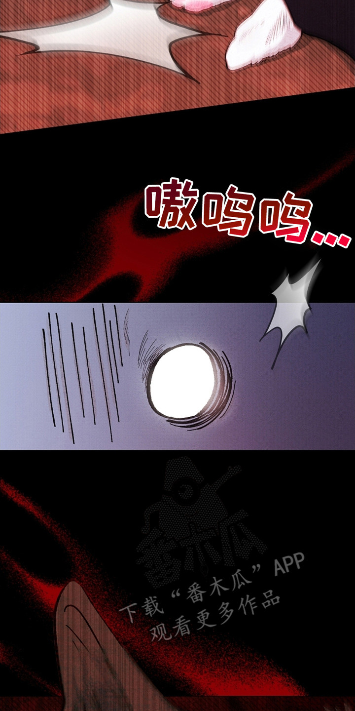 小白狗奇遇记韩漫免费观看全集漫画,第1话2图