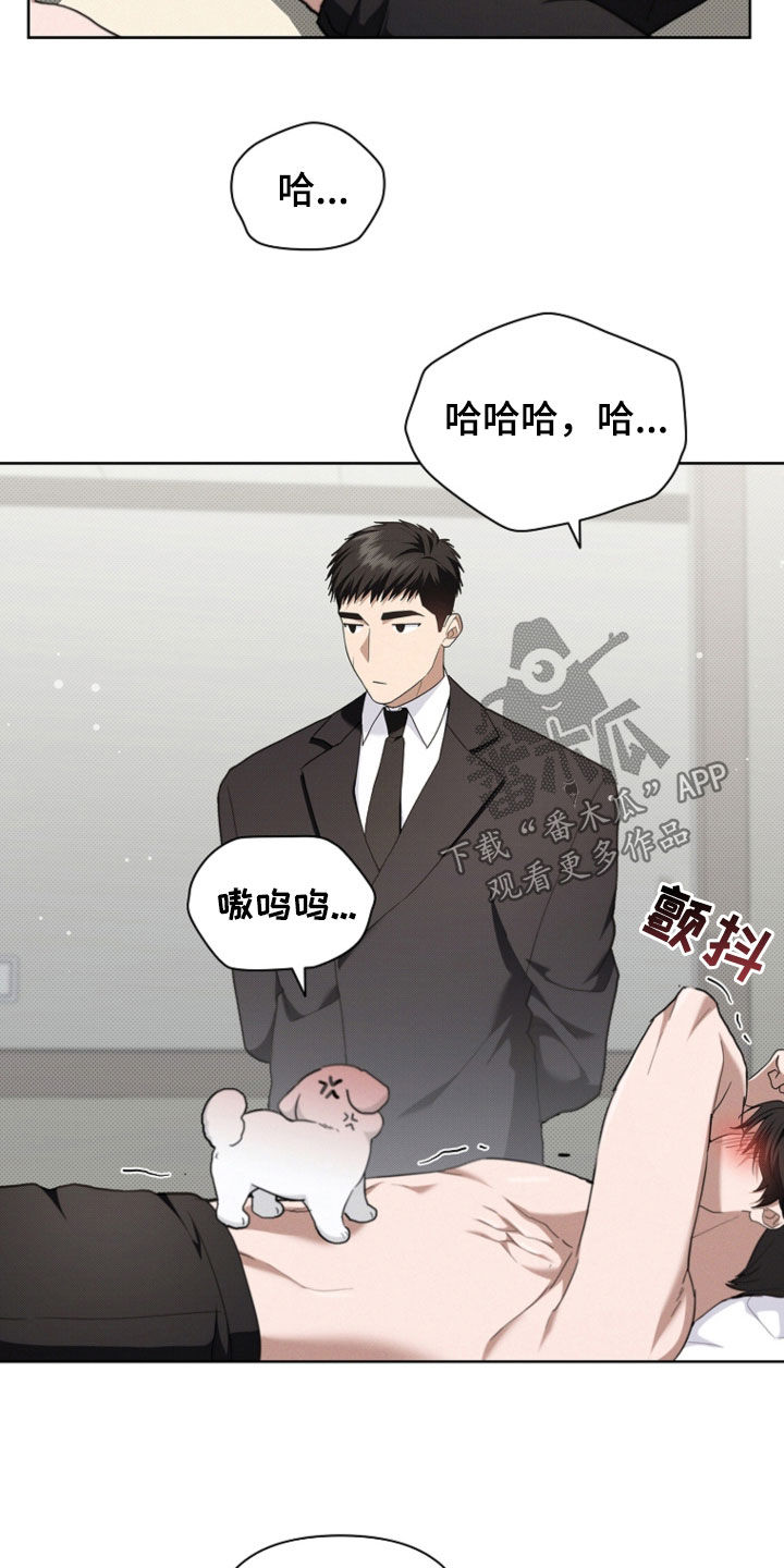 小白狗奇遇记韩漫免费观看全集漫画,第52话1图