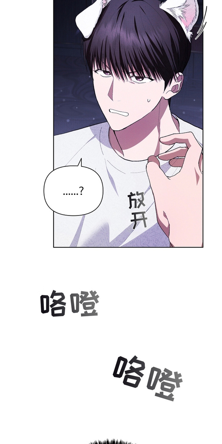 小白狗奇遇记韩漫免费观看全集漫画,第3话1图