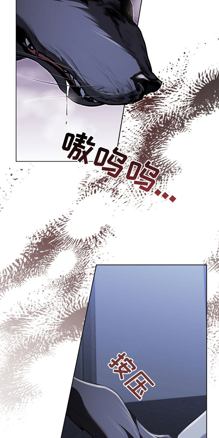 小白狗奇遇记韩漫免费观看全集漫画,第47话1图