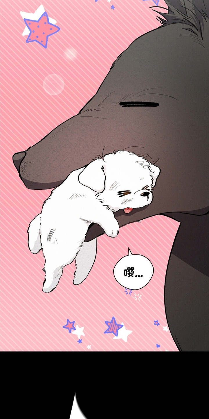 小白狗奇遇记韩漫免费观看全集漫画,第1话1图