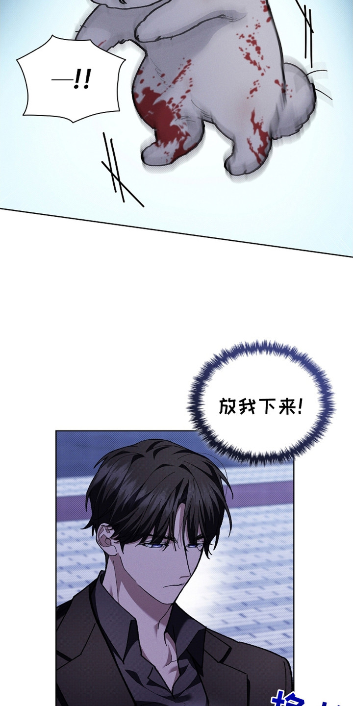 小白狗奇遇记韩漫免费观看全集漫画,第9话2图