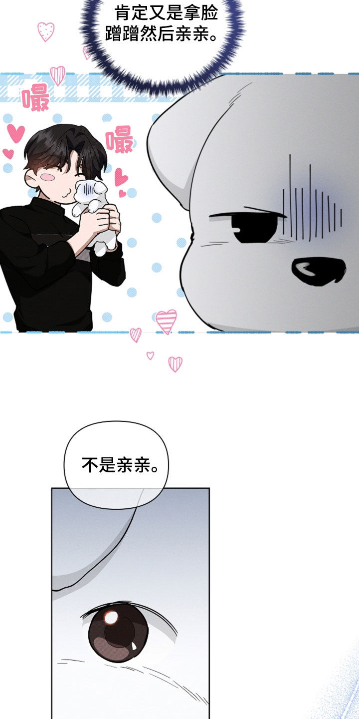 小白狗奇遇记漫画免费阅读漫画,第44话1图